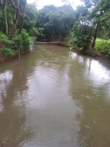 a river with trees on the side of it at Yashovana Nature Stay Gokarna in Gokarna