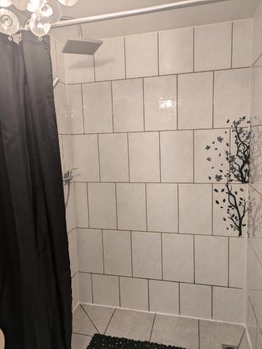 a bathroom with a shower with white tiles at Gemütlicher Glücksplatz in Frielendorf
