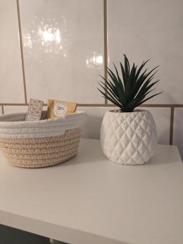 two baskets sitting on a counter with a plant at Gemütlicher Glücksplatz in Frielendorf