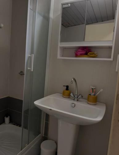 une salle de bain avec un lavabo et une douche dans l'établissement LE SPLENDID - Hypercentre - Proche Opéra & Parcs - Thermes, à Vichy