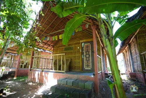 an outside view of a house with a tree at Hampi Waterfall Cottages in Hampi