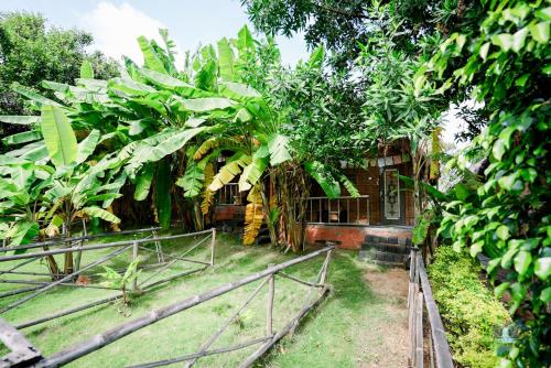 a house with a bunch of banana trees at Hampi Waterfall Cottages in Hampi