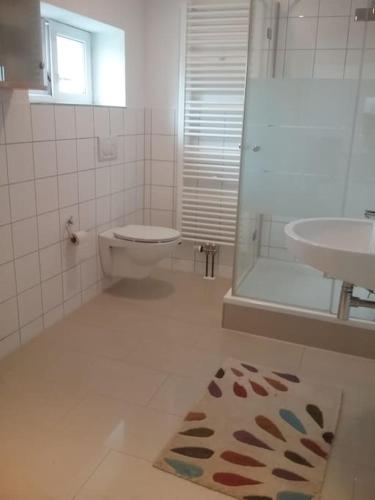a bathroom with a toilet and a sink and a shower at Ferienwohnung OT Meersburg in Grasbeuren