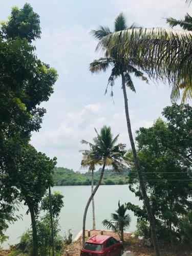 a red car parked under palm trees near a lake at Quite and peaceful in Perumanseri