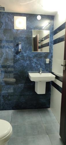 a bathroom with a sink and a toilet at Angel Homestay Paravoor in Alleppey