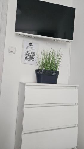 Μια τηλεόραση ή/και κέντρο ψυχαγωγίας στο Apartament Diselvio