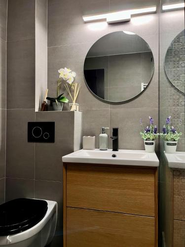 a bathroom with a sink and a mirror at Comfortable Baia Mare Apartment in Baia Mare