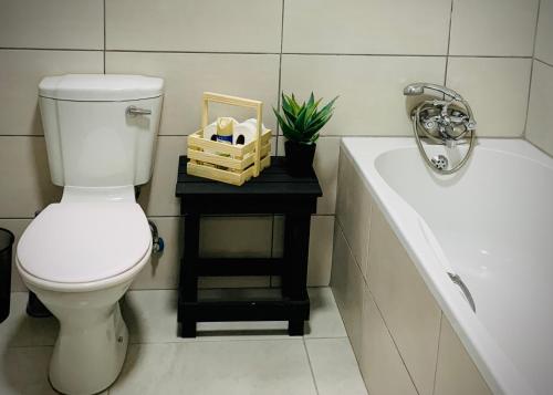 a bathroom with a toilet and a tub and a plant at Olive Villa Self Catering Apartments in Swakopmund