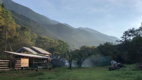 a man standing in a field next to a mountain at リラシャンティRelashanti in Soni