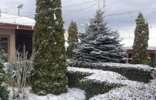 a group of christmas trees in a yard with snow at DALLAR Guest House in Yerevan