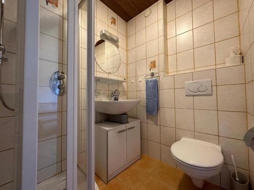 un piccolo bagno con un water e un lavandino di Lutz Alpenblick B&B a Schattwald