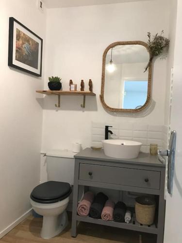 une salle de bain avec un lavabo, des toilettes et un miroir dans l'établissement Studio TY ZEN À 50m de la mer , des plages et du GR34, à Saint-Quay-Portrieux