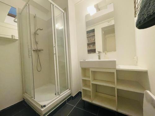 une salle de bain avec douche et lavabo dans l'établissement Chez Flora ! 344, à Rouen