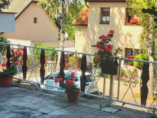 Fotografie z fotogalerie ubytování LEV I SOVA v Mělníku