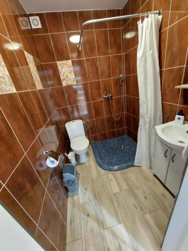 Koupelna v ubytování Apartamenti ar verandu diviem cilvēkiem