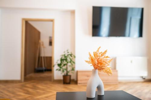 Fotografie z fotogalerie ubytování Luxapart BIG 12people apartment with Breakfast v Košicích