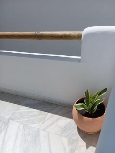 a potted plant sitting on a floor next to a window at Family Home Naxos in Naxos Chora