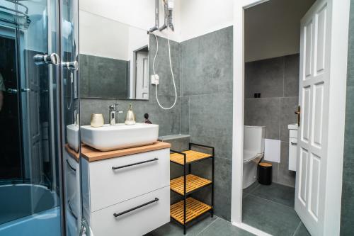 Koupelna v ubytování Luxapart BIG 12people apartment with Breakfast