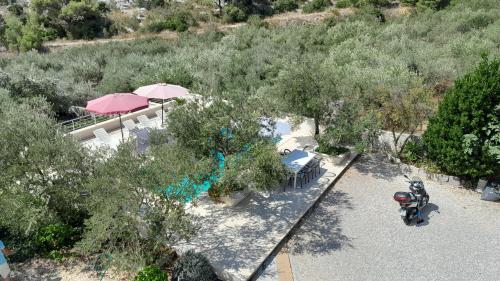 Κήπος έξω από το Villa Filip