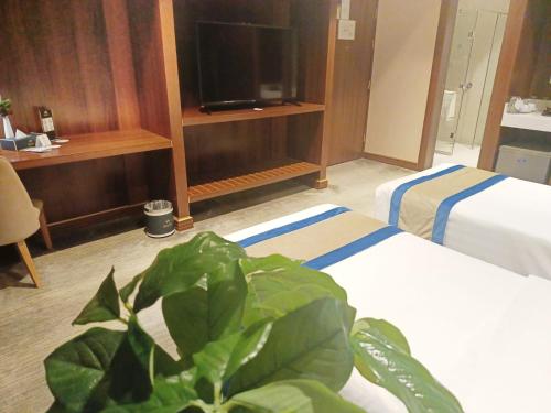 Una televisión o centro de entretenimiento en Al Malqa Elite Hotel