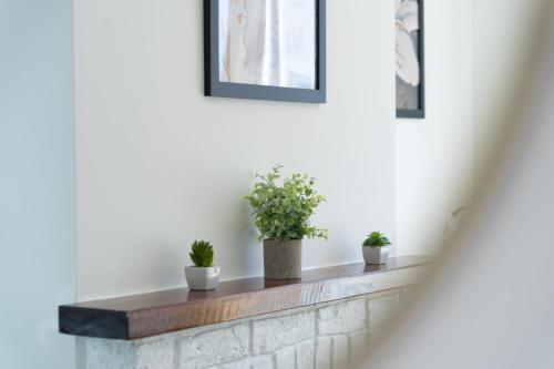 a shelf with potted plants on a wall at Open Mind Property - Cosy Home - 7 Beds & Parking in Portsmouth
