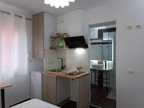 Kuhinja ili čajna kuhinja u objektu Central apt