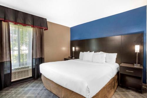 Comfort Suites Nashville Airport - BNA Image
