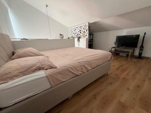 Μια τηλεόραση ή/και κέντρο ψυχαγωγίας στο Charmant Duplex Bordeaux - Place de Parking Privée - Tram