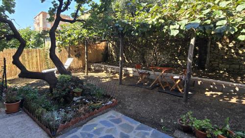a garden with a table and some plants and a tree at Ca' dii Bürsa 2 - HOMY 5 TERRE in Volastra