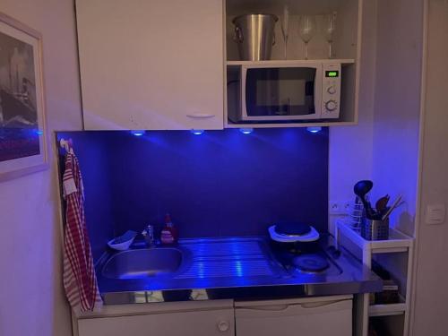 - une cuisine bleue avec évier et four micro-ondes dans l'établissement joli studio bohème sous les toits de Paris, à Paris