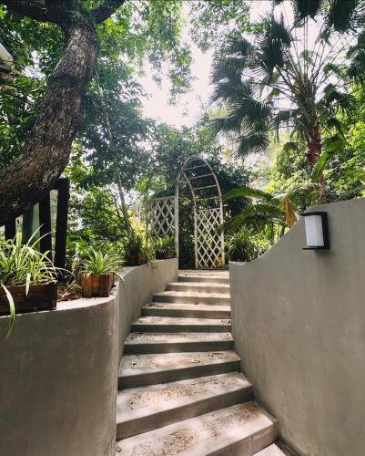 Κήπος έξω από το Van Son Garden - HomeStay