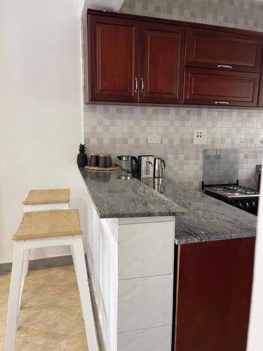 Kuchyň nebo kuchyňský kout v ubytování Charming 2BR apt near Accacia and Kololo