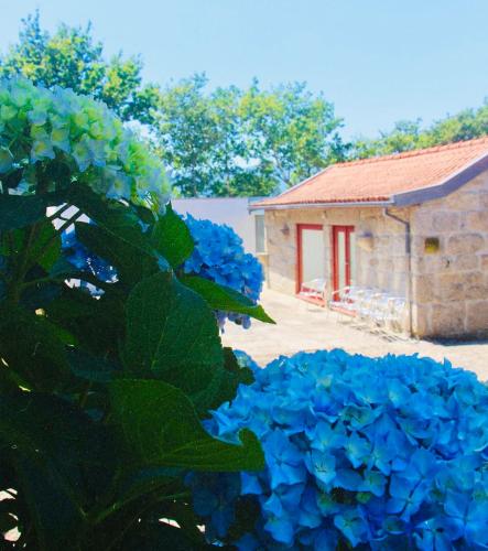 a bush of blue flowers in front of a building at Gerês - Casa da Cabana in Vieira do Minho