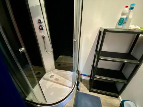 a shower with a glass door in a bathroom at Petite maison au calme avec jardin clôturé les animaux bienvenue in Mollau
