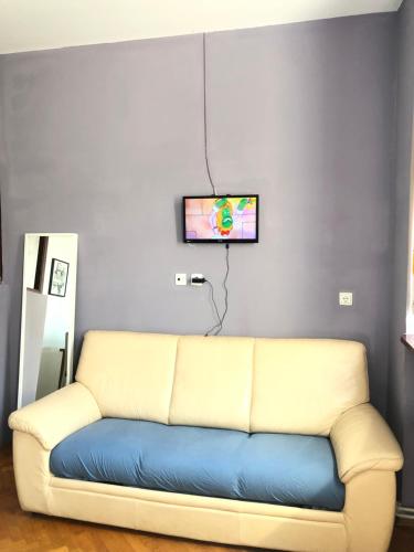 TV a/nebo společenská místnost v ubytování BISHNU HOSTEL