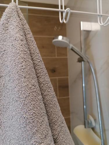 a shower curtain hanging from a shower rod in a bathroom at House FIDULIĆ - apartment RUSTIC in Lumbarda