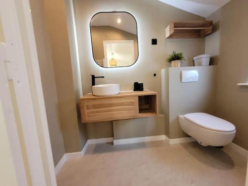 un bagno con lavandino, WC e specchio di Petite maison pleine de charme a Lambersart