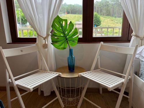 two chairs and a table with a plant in a window at Hostal Barco da Vella in Merejo