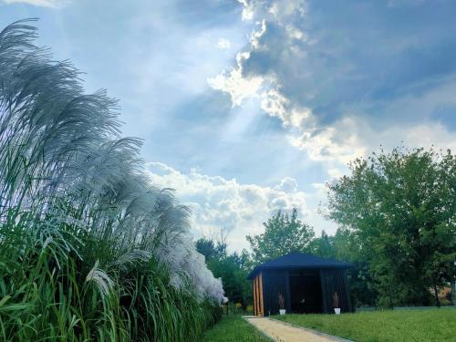 Un paisaje natural cerca de la casa de huéspedes