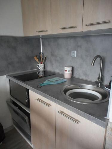une cuisine avec un évier et un micro-ondes dans l'établissement Appartement PuySaintVincent 1600, à Puy-Saint-Vincent