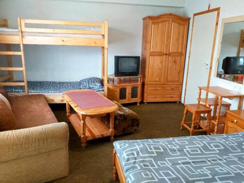 a bedroom with a bunk bed and a couch at Zodiac House in Samokov