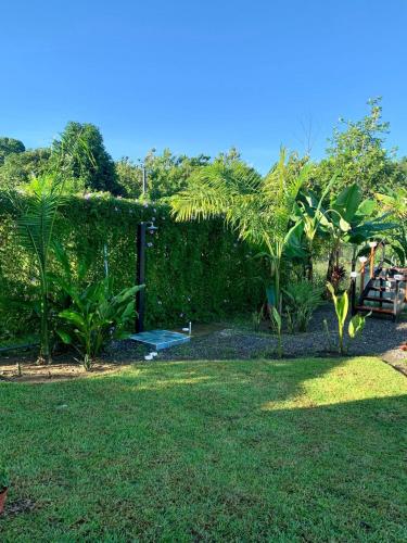 a yard with a fence and green grass at Pura Vida Beach House in San Buenaventura