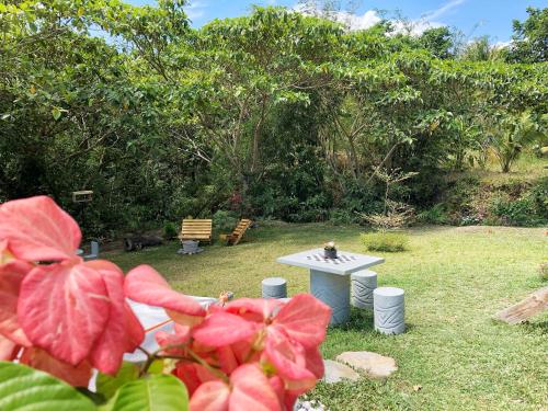a picnic table in a garden with a cat sitting on it at Garden of Faith Lodge - 20 minutes drive from Tagaytay in Calaca