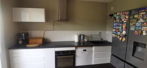 Η κουζίνα ή μικρή κουζίνα στο Appartement 3 pièces-près de centre-ville SELESTAT