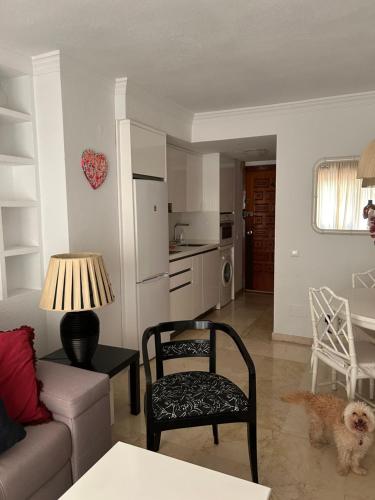 Centro de marbella