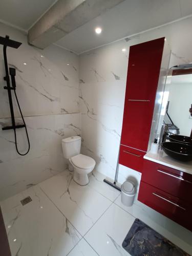 une salle de bain avec toilettes et lavabo dans l'établissement Soleil levant au domaine de Tara, à LʼHôpital-du-Grosbois