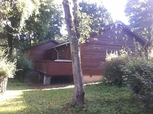 a log cabin with a tree in the yard at La Boverie, chalet 216 in Rendeux