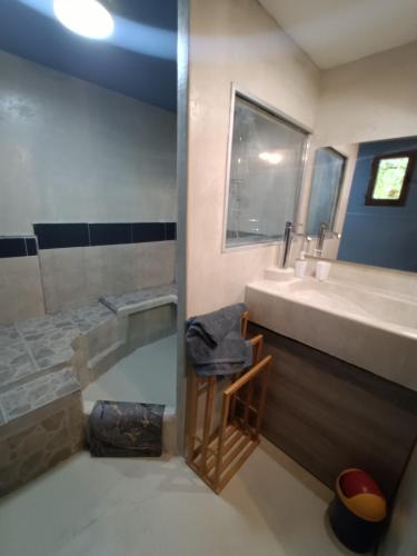 une salle de bain avec une baignoire, un lavabo et une douche dans l'établissement La véranda au domaine de Tara, à LʼHôpital-du-Grosbois