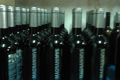 a group of wine bottles are lined up on a shelf at Casa Nuri de Rei La Pobla Tornesa in Puebla Tornesa