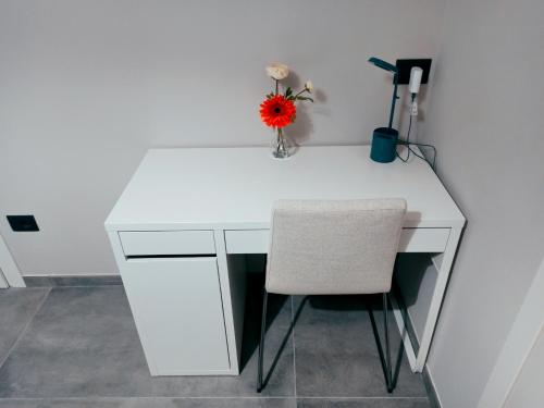 Kuchyň nebo kuchyňský kout v ubytování Le Mirage